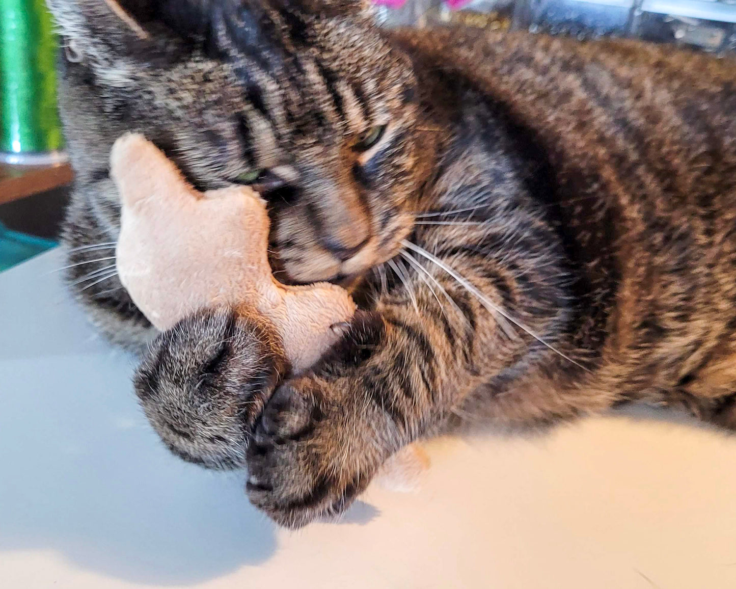 Dino Nugget Catnip Cat Toys