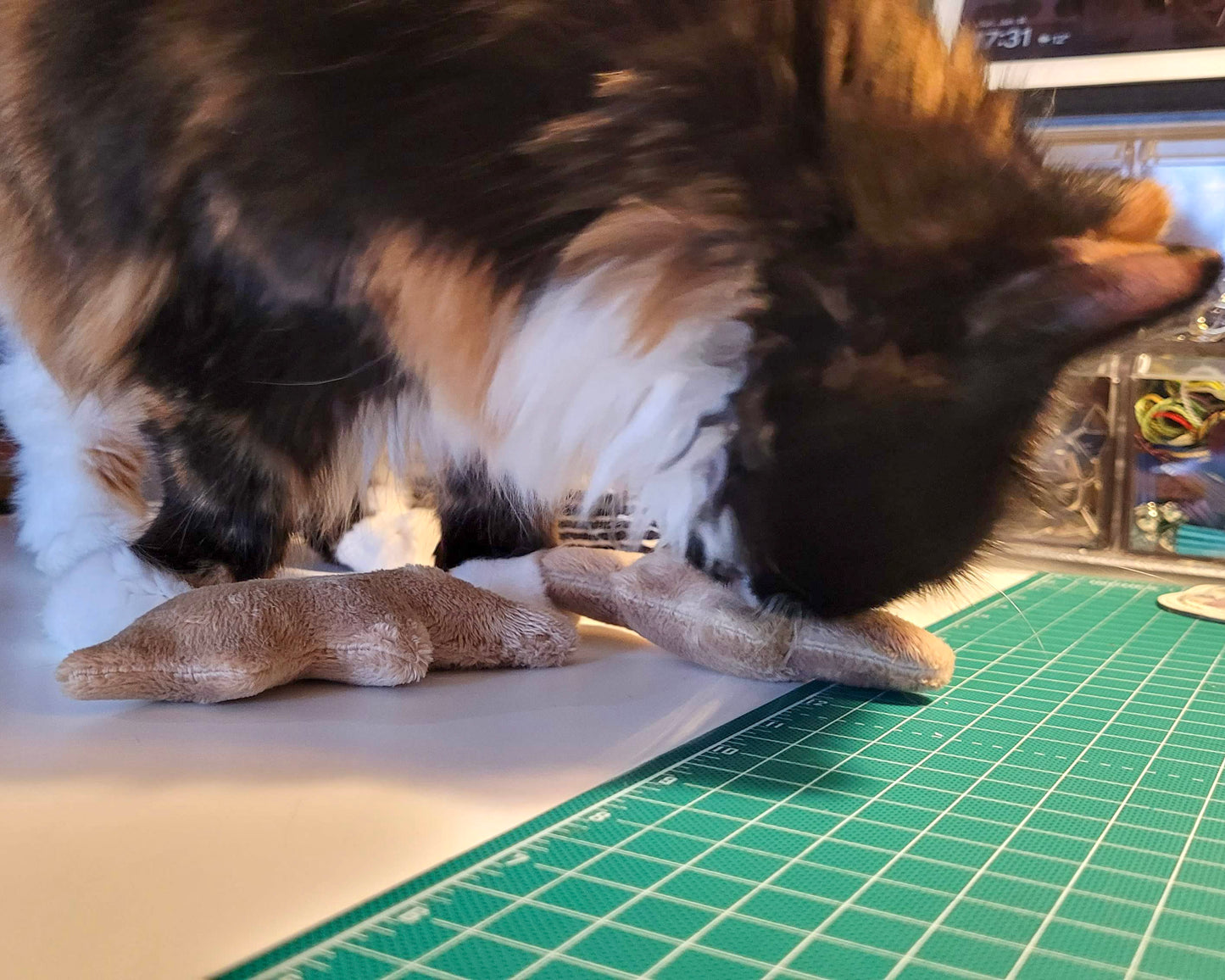 Jouets pour chats Dino Nugget Catnip