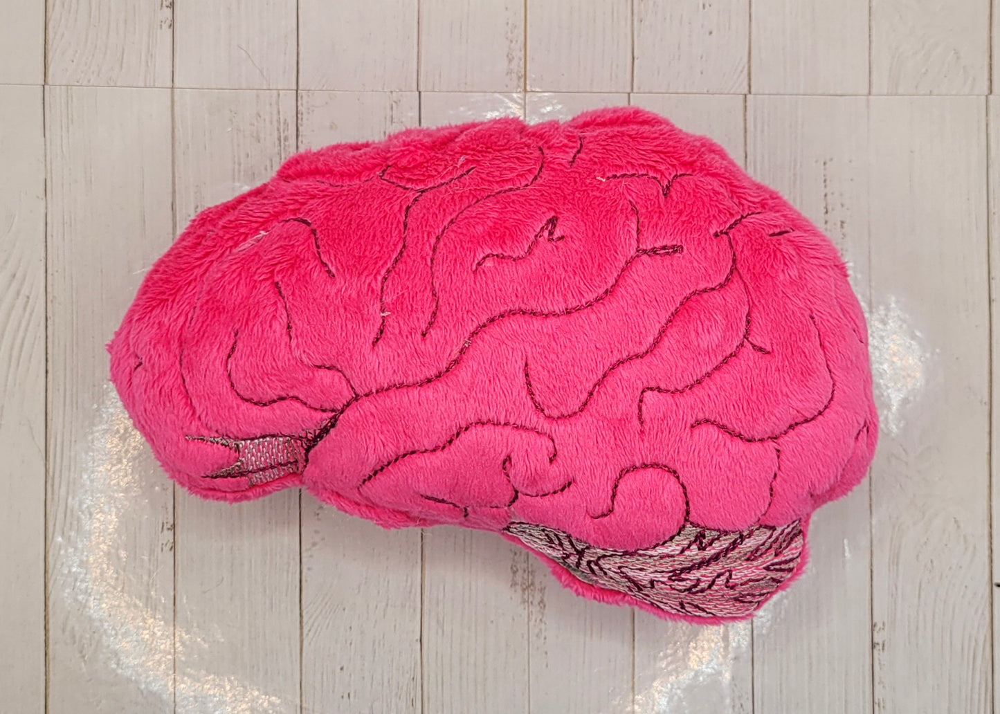 Human Brain Cat Toy & Plushie