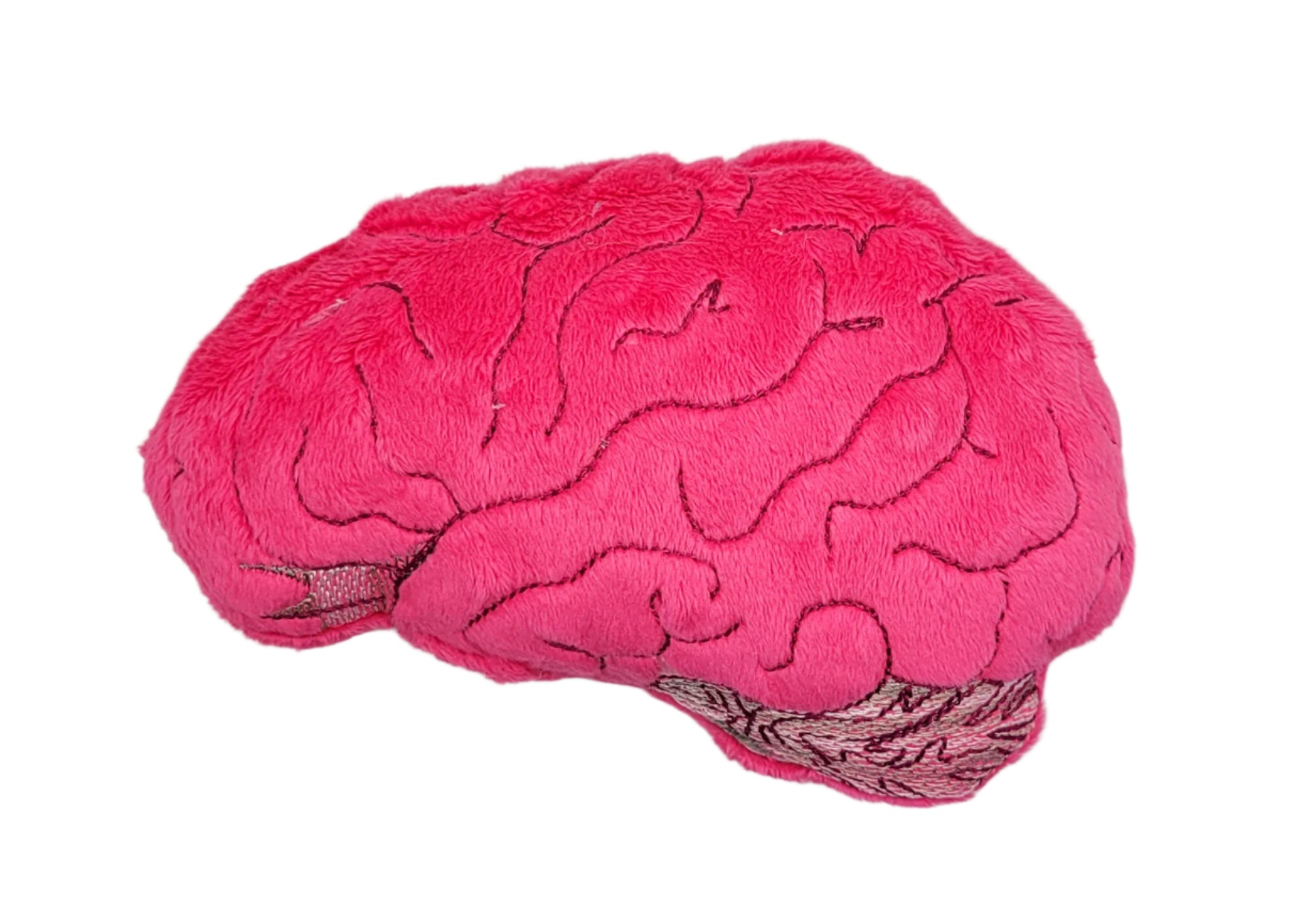 Human Brain Cat Toy & Plushie