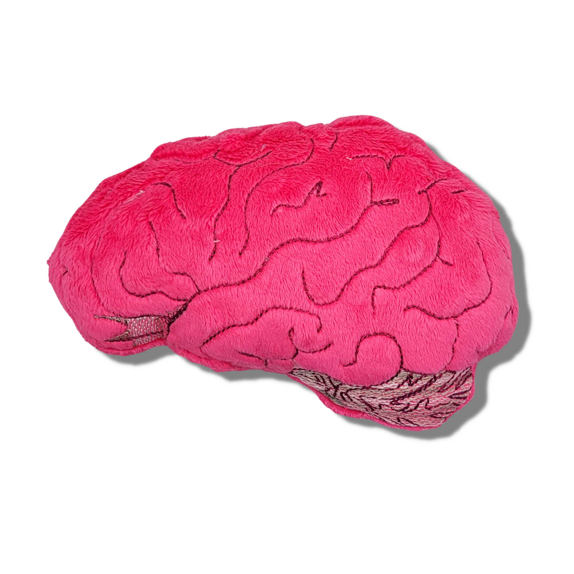 Human Brain Cat Toy & Plushie