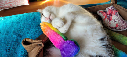 Pecker Catnip Cat Toy & Plushie
