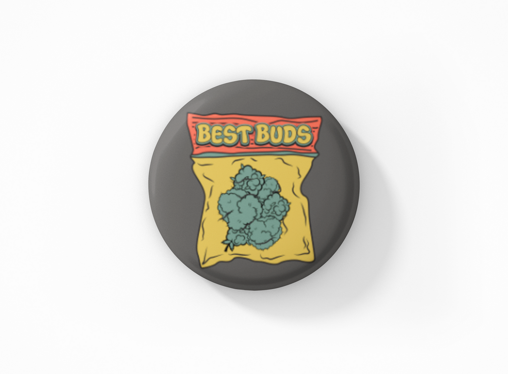 Botón pinback de los mejores amigos